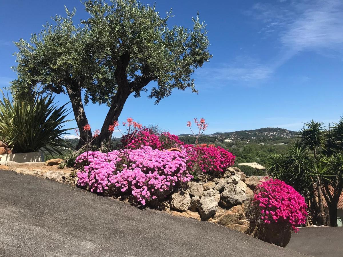 3 Bedrooms Villa Near Cannes - Pool & Jacuzzi - Sea View Mandelieu Exterior foto